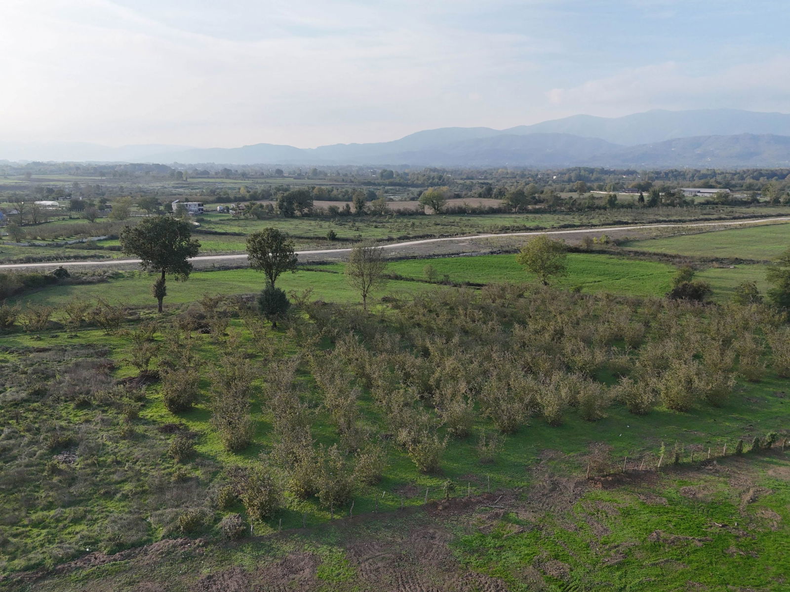 SARAYYERİ MAHALLESİ'NDE 2050 M2 SATILIK ARSA