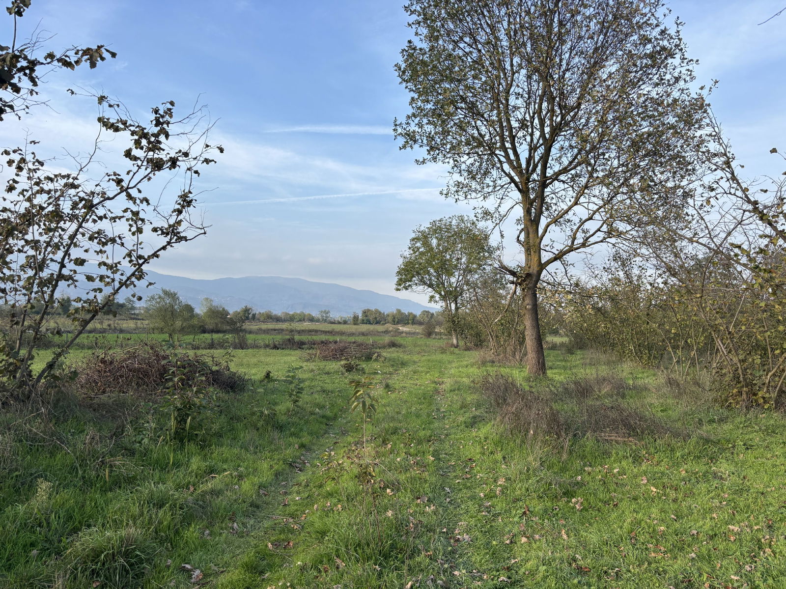 Satılık Arsa 16,500,000 TL