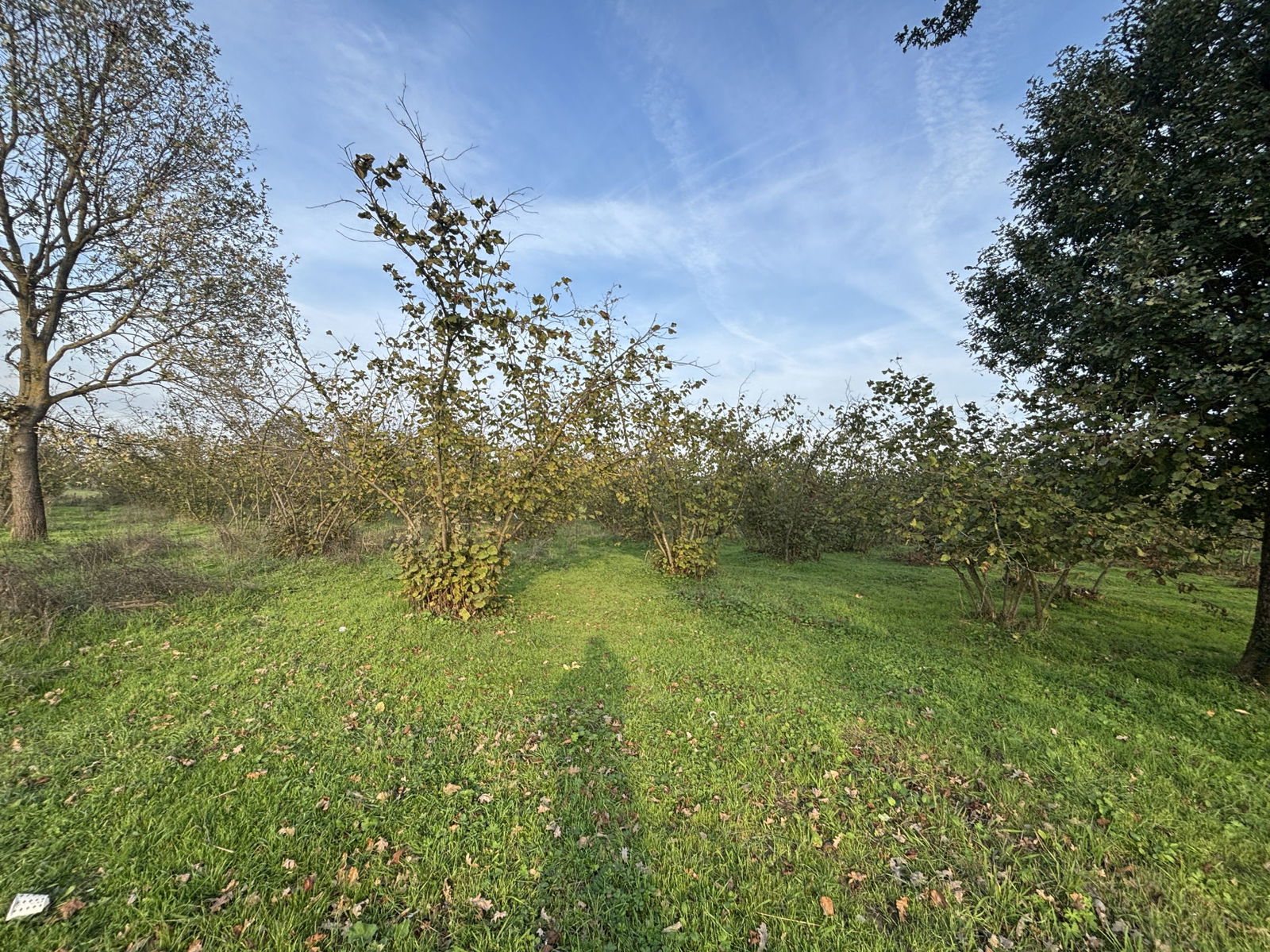 Satılık Arsa 16,500,000 TL