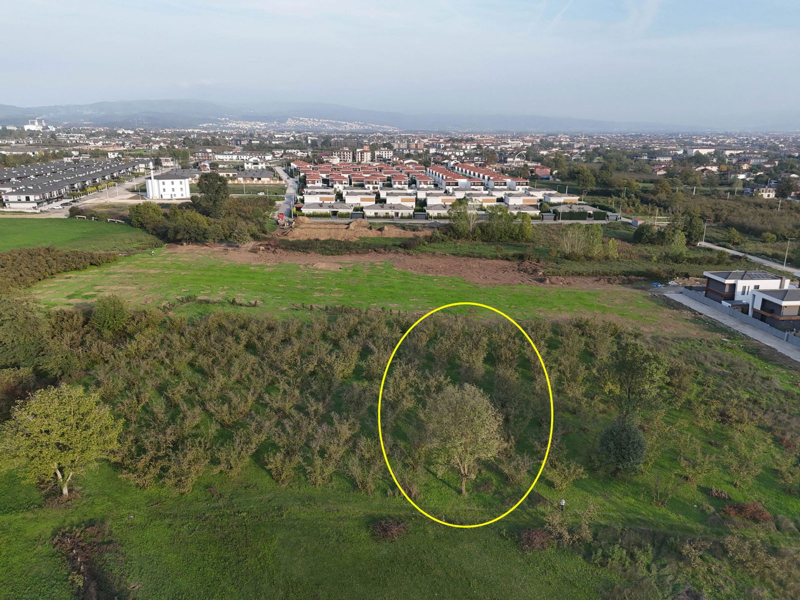 SARAYYERİ MAHALLESİ'NDE 2050 M2 SATILIK ARSA