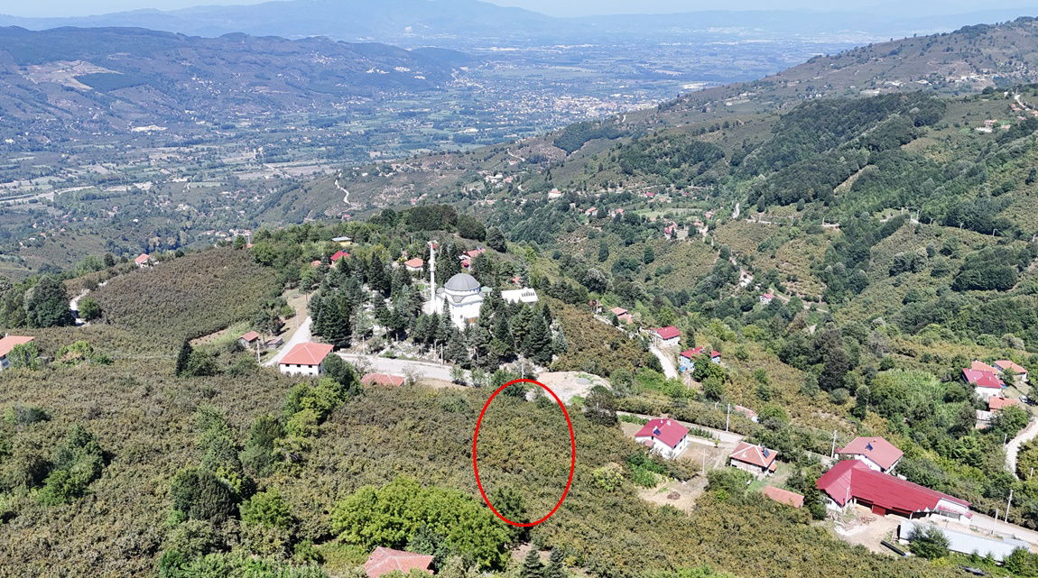 Satılık Arsa 5,350,000 TL