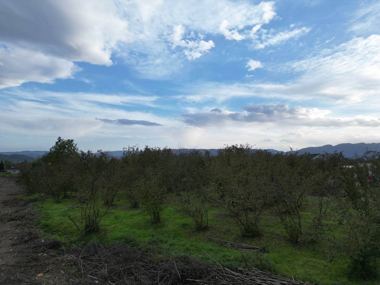 Satılık Arsa 3,900,000 TL