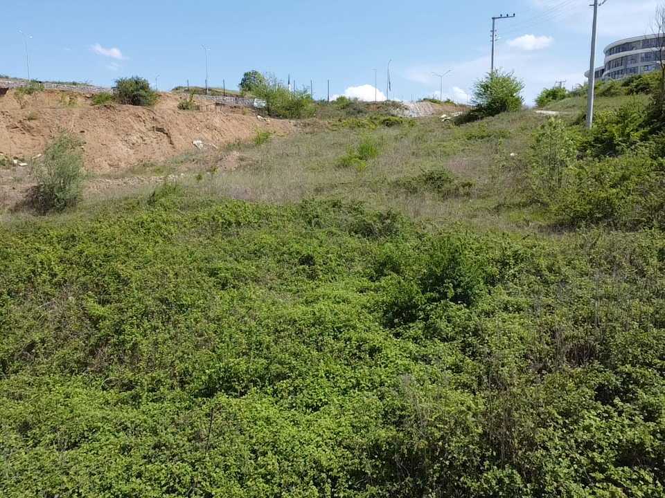 KONURALP ÜNİVERSİTE BÖLGESİ'NDE 6681 M2 SATILIK KUPON ARSA