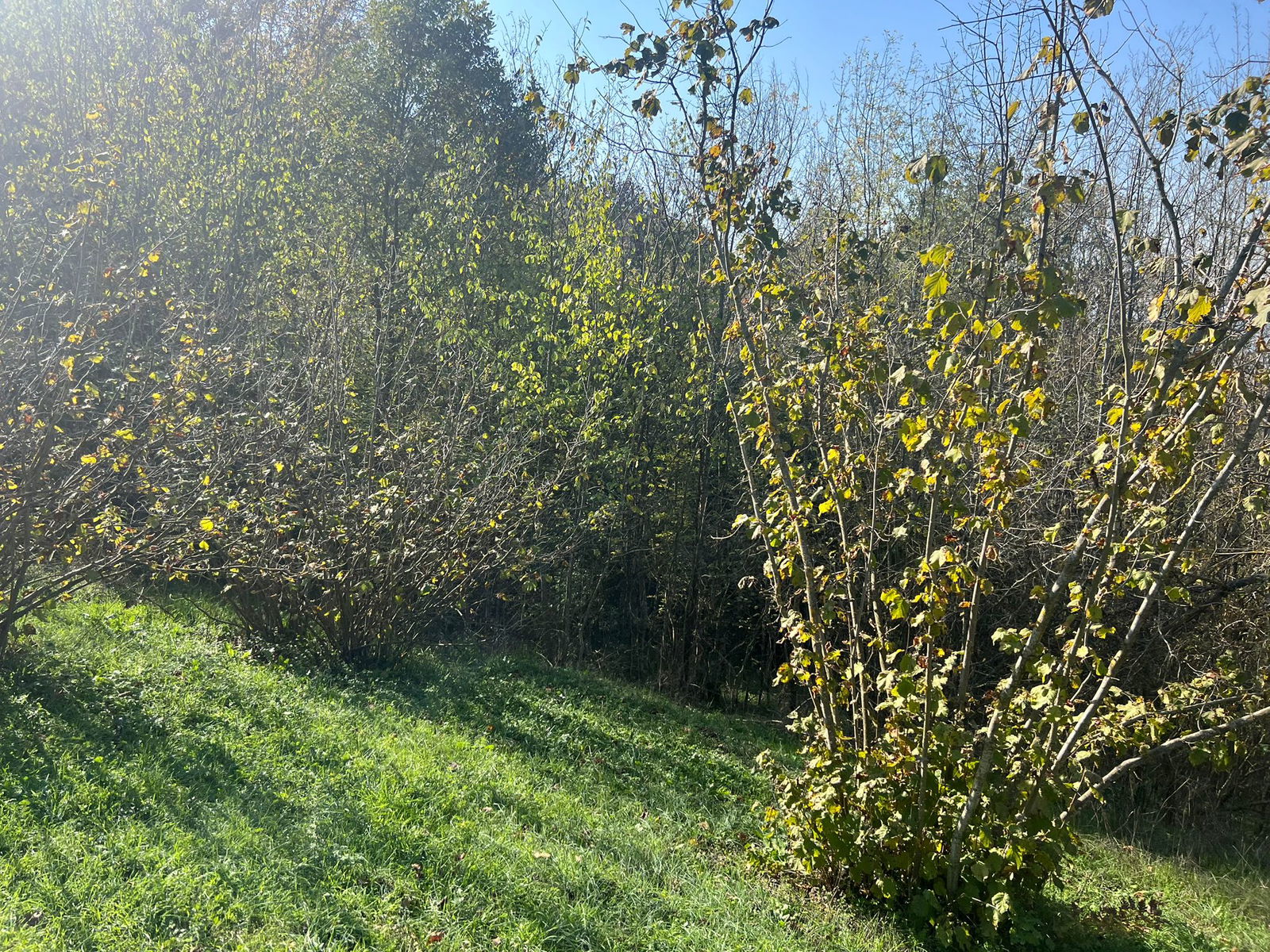 Satılık Arsa 1,190,000 TL