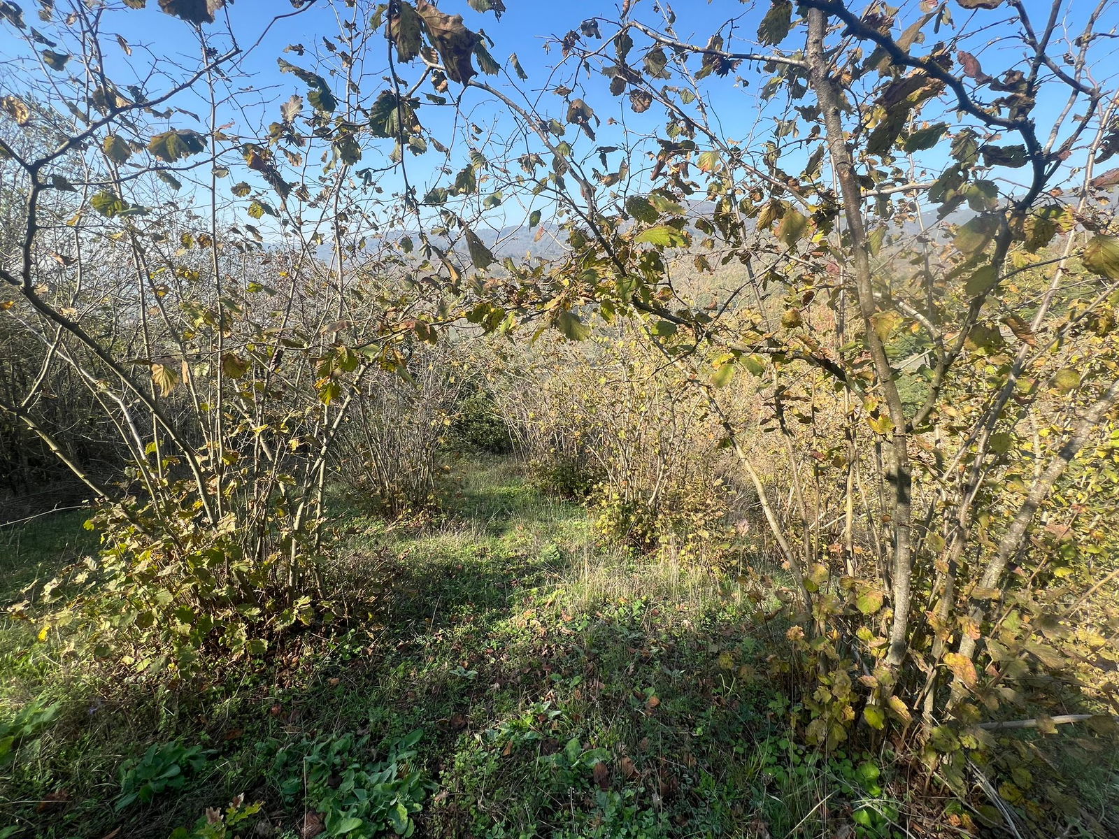 Satılık Arsa 1,190,000 TL