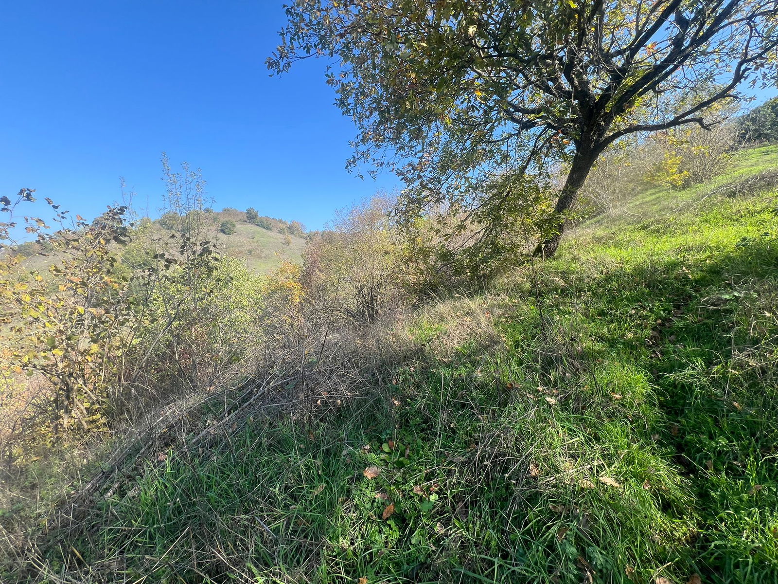 Satılık Arsa 1,190,000 TL