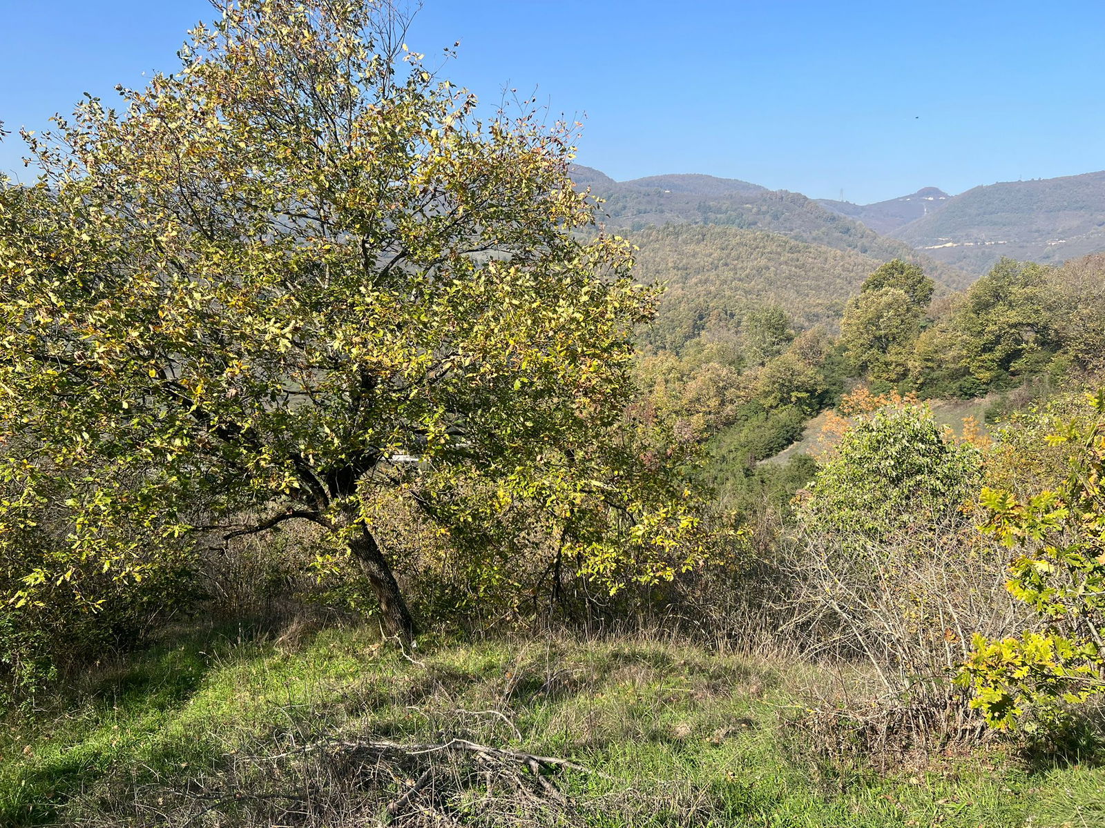 Satılık Arsa 1,190,000 TL