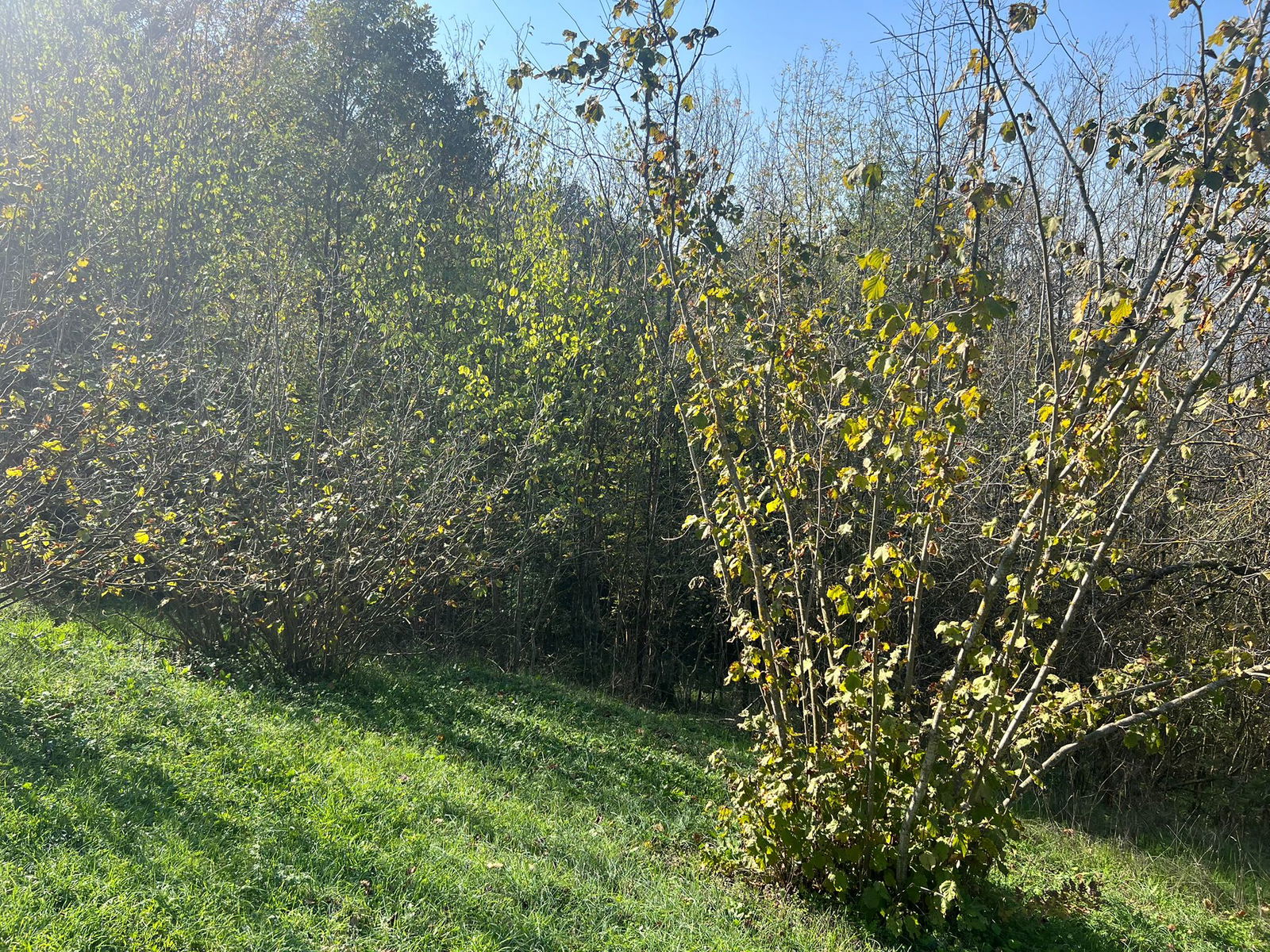 Satılık Arsa 1,190,000 TL