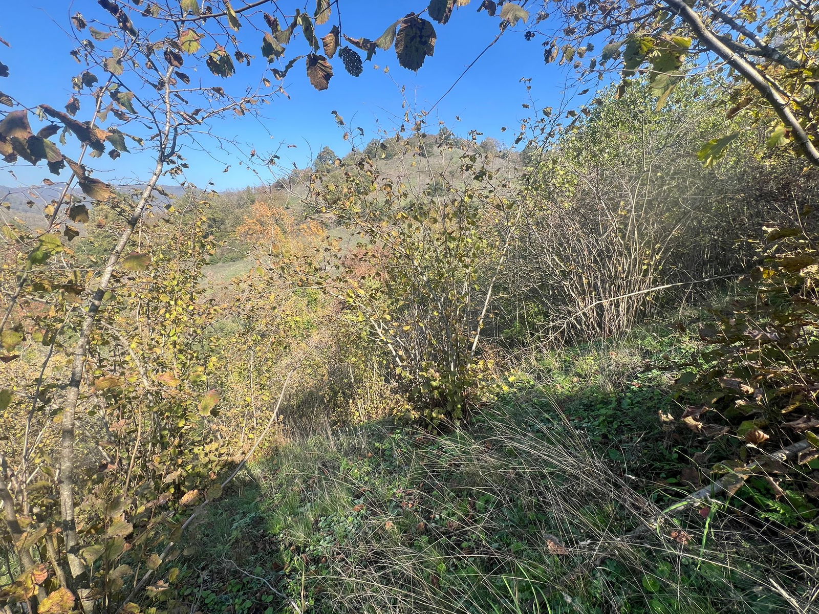 Satılık Arsa 1,190,000 TL