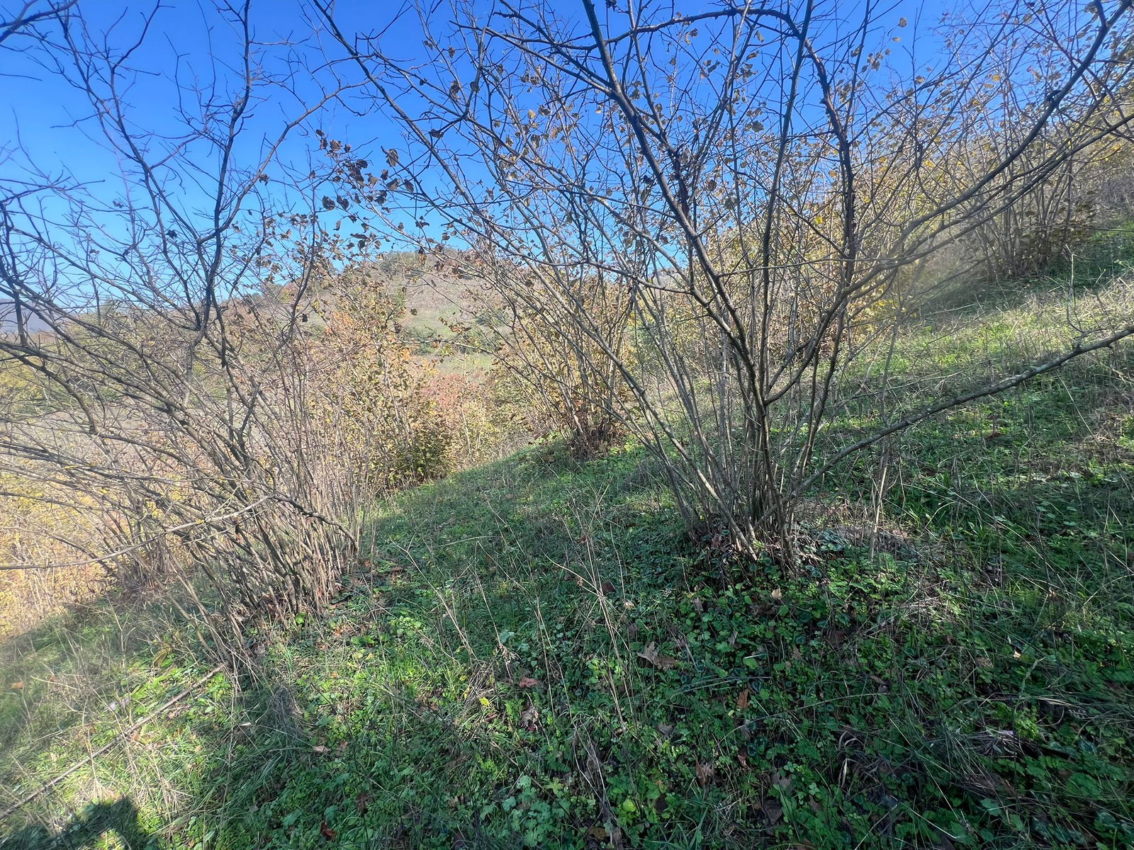 Satılık Arsa 1,190,000 TL