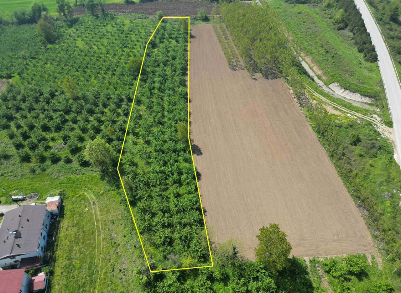 Satılık Arsa 9,800,000 TL