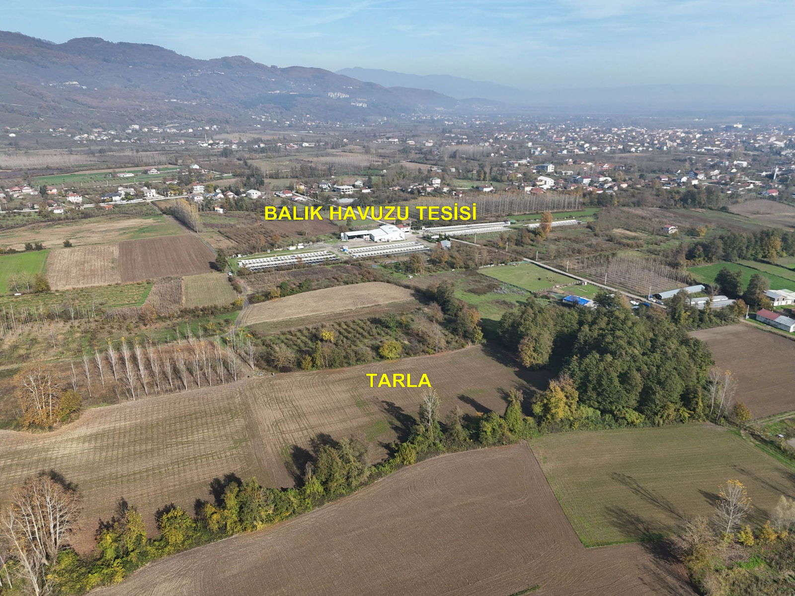 GÖLYAKA CUMAKIRI MAHALLESİ'NDE 9600 M2 SATILIK ARSA