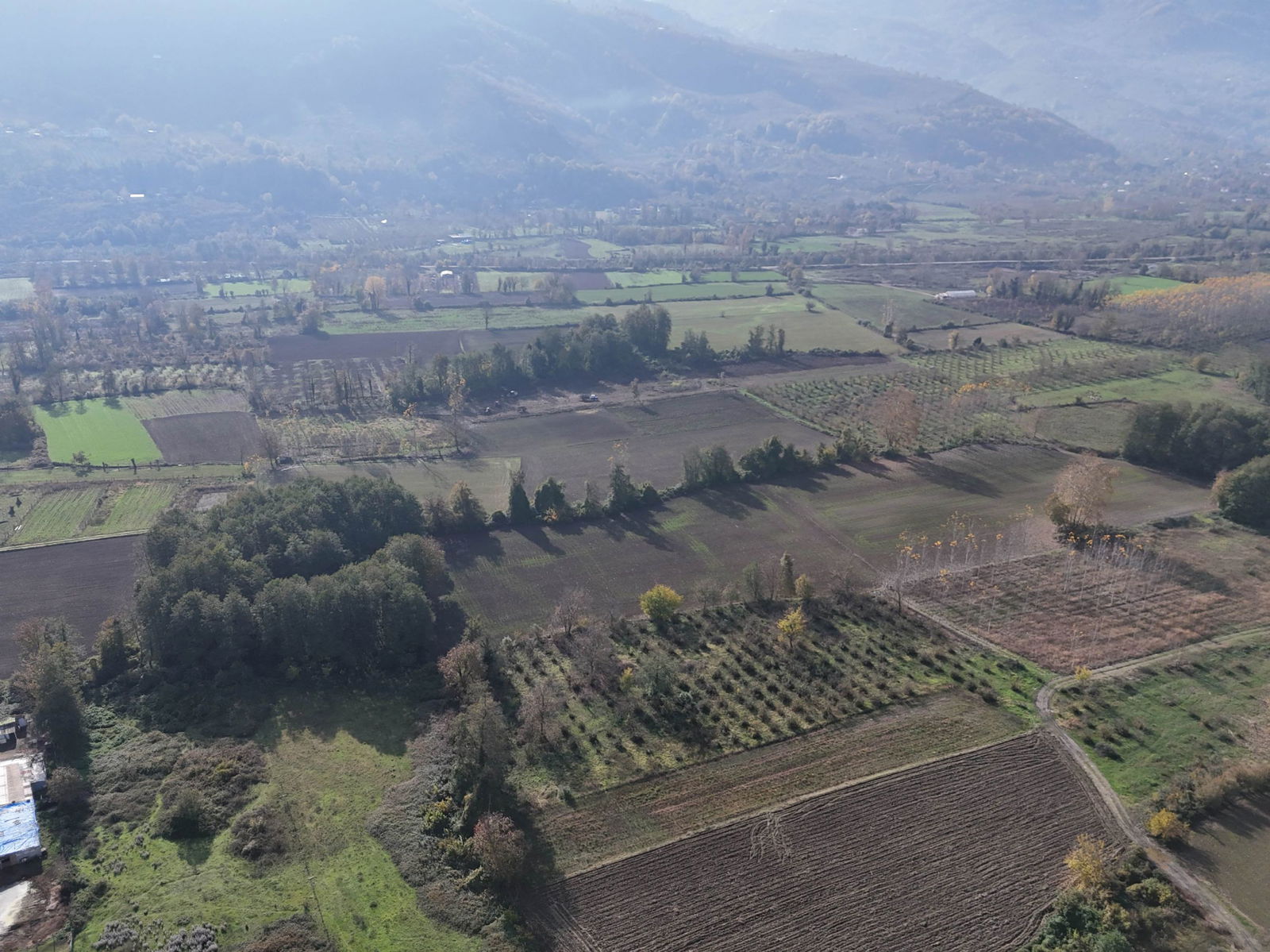 GÖLYAKA CUMAKIRI MAHALLESİ'NDE 9600 M2 SATILIK ARSA