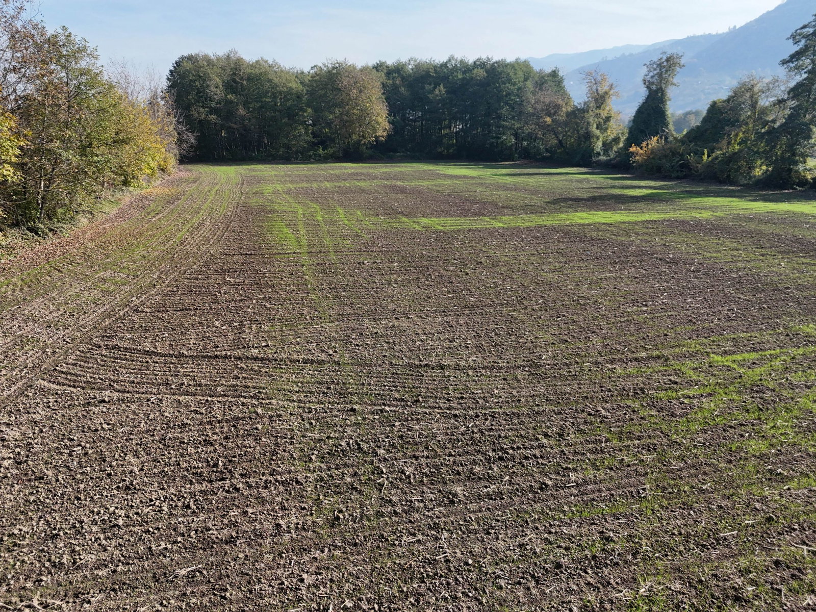 GÖLYAKA CUMAKIRI MAHALLESİ'NDE 9600 M2 SATILIK ARSA