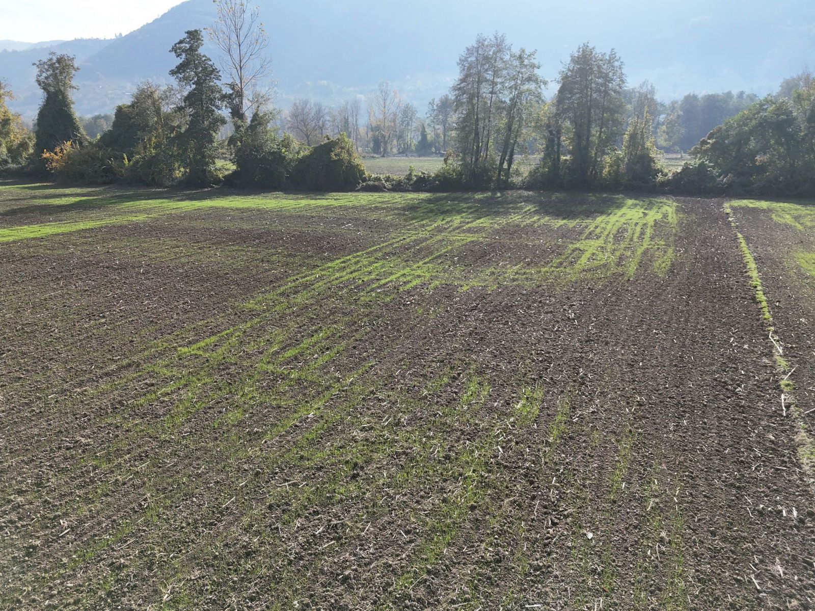 Satılık Arsa 5,200,000 TL