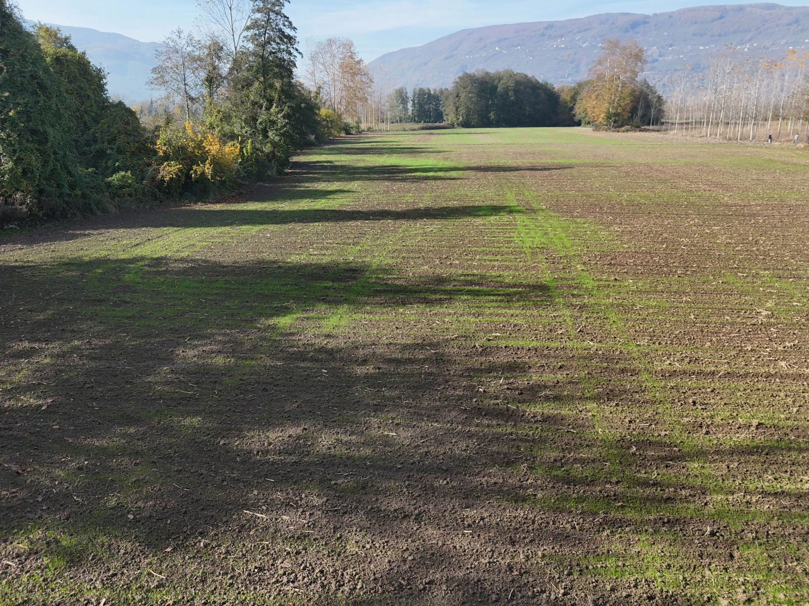 GÖLYAKA CUMAKIRI MAHALLESİ'NDE 9600 M2 SATILIK ARSA