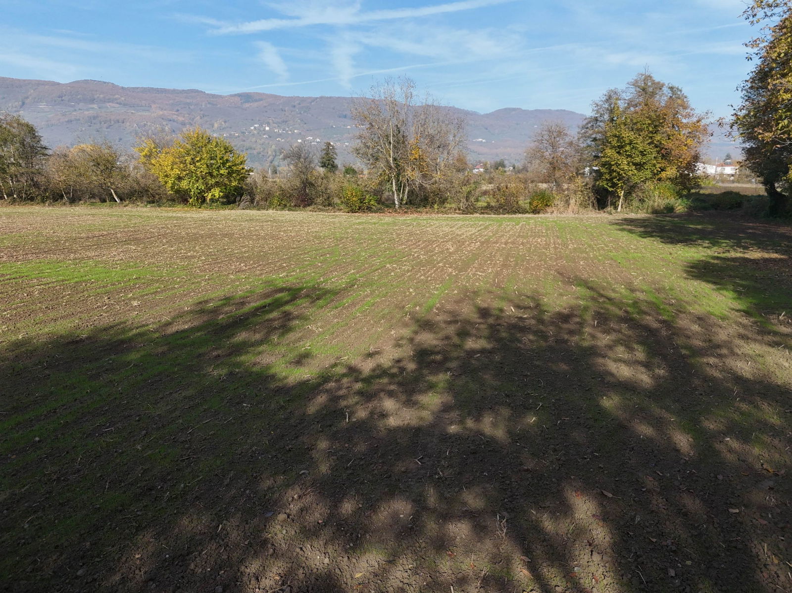 GÖLYAKA CUMAKIRI MAHALLESİ'NDE 9600 M2 SATILIK ARSA