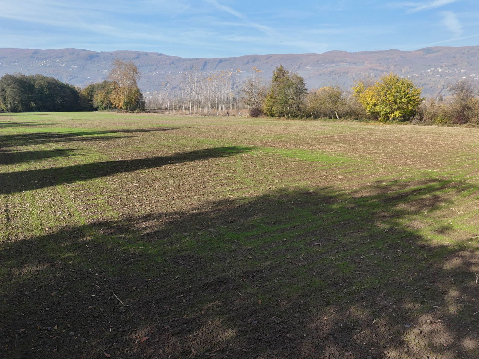 GÖLYAKA CUMAKIRI MAHALLESİ'NDE 9600 M2 SATILIK ARSA