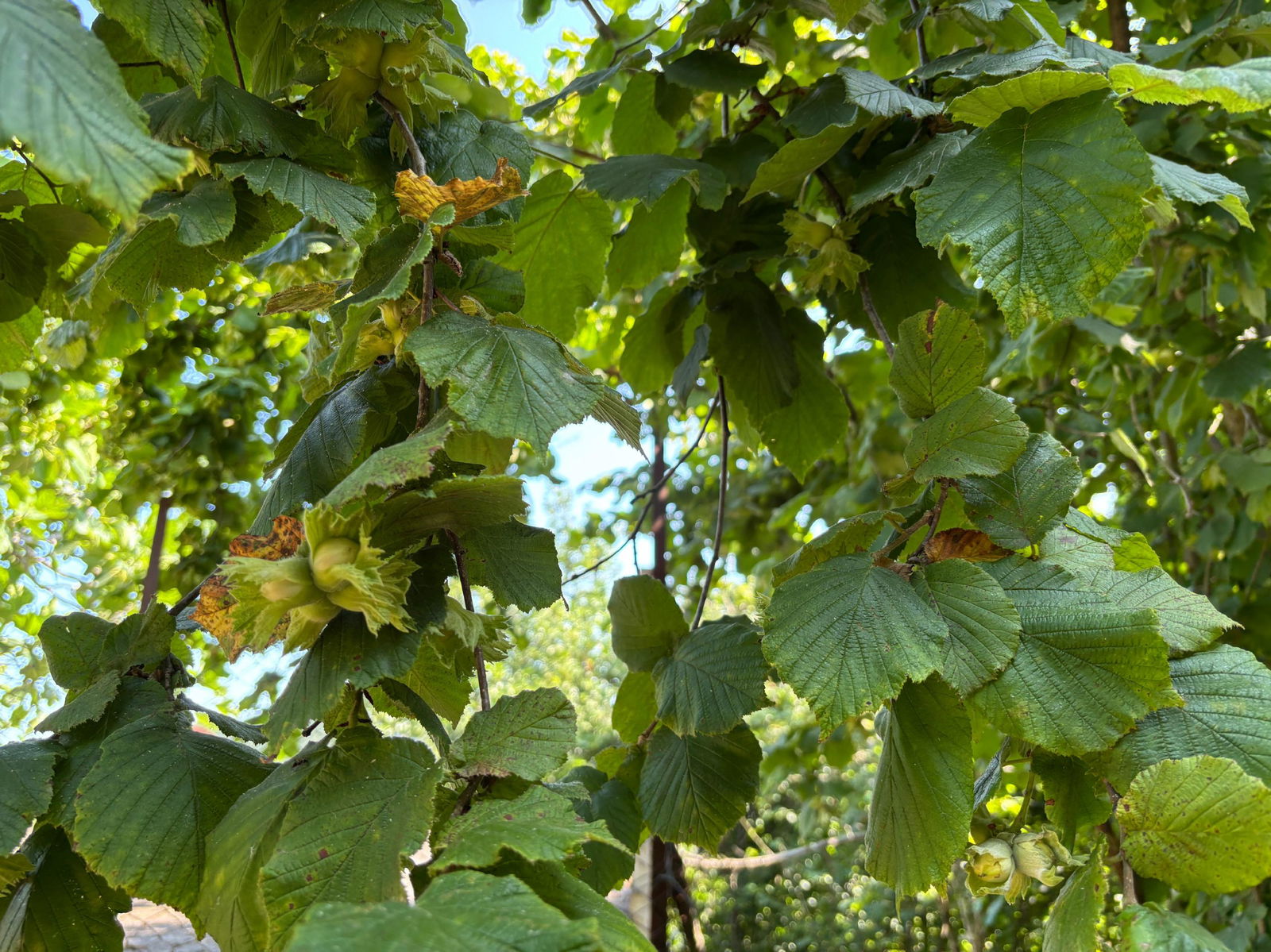 Satılık Arsa 1,800,000 TL