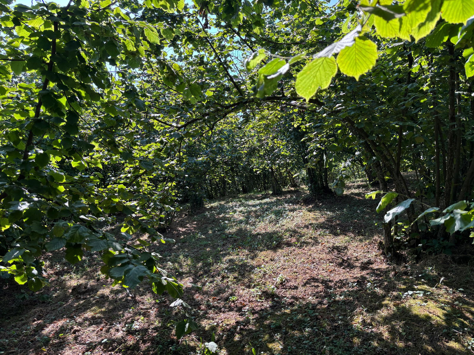 Satılık Arsa 1,800,000 TL