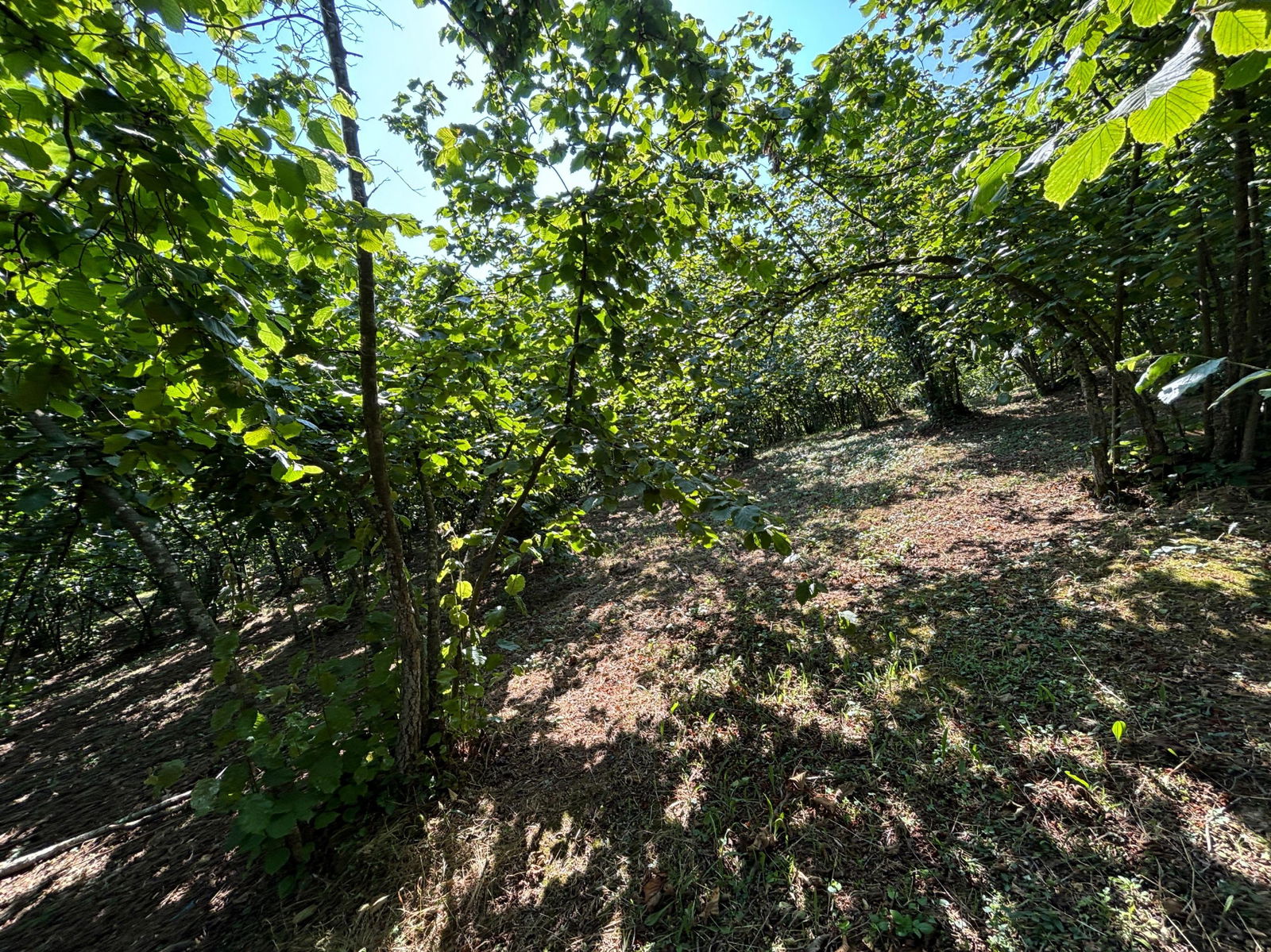 Satılık Arsa 1,800,000 TL