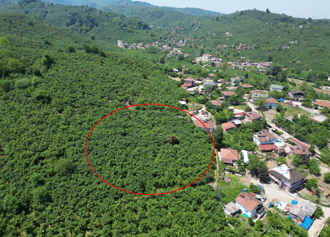 Satılık Arsa 1,800,000 TL