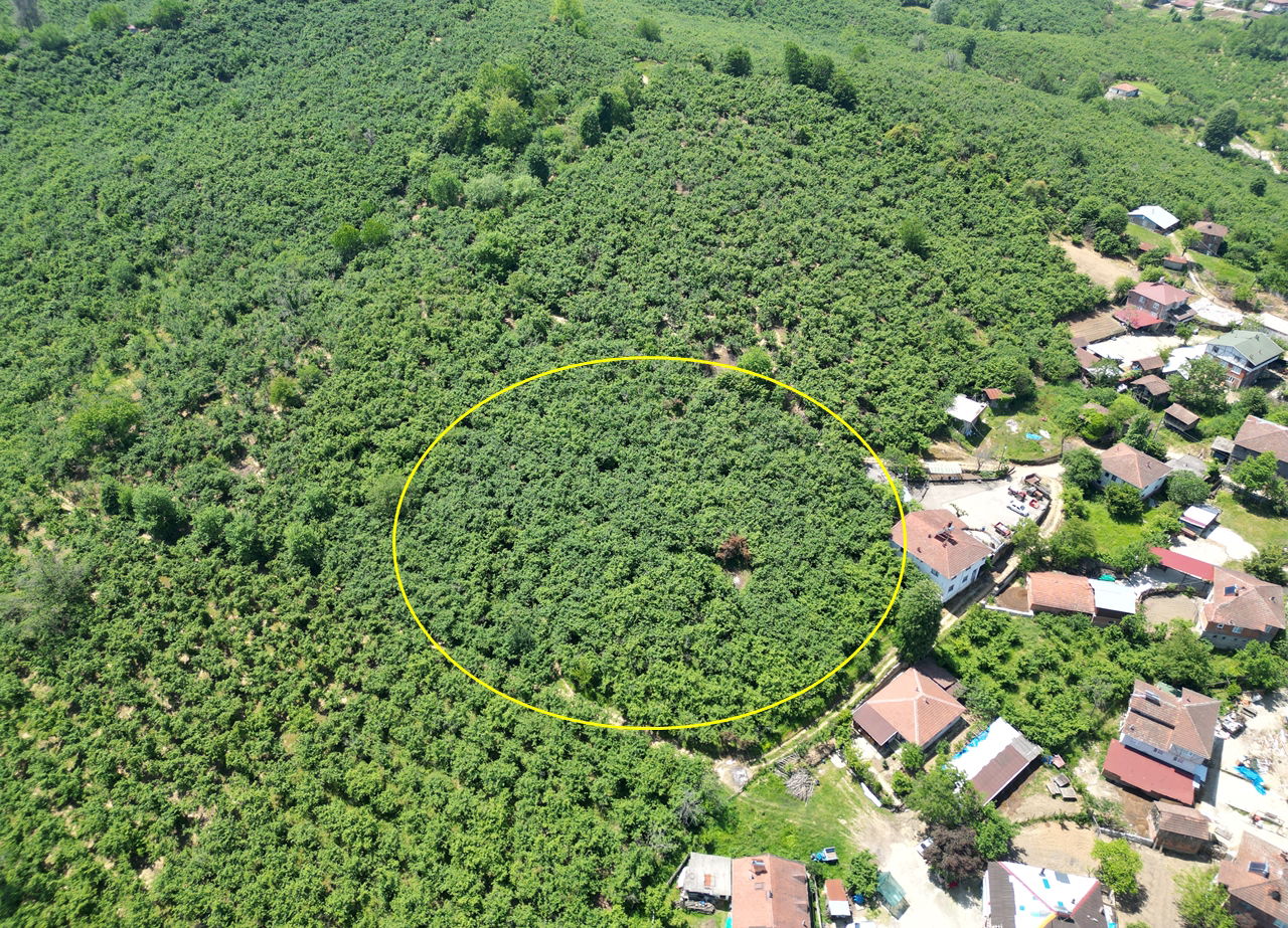 Satılık Arsa 1,800,000 TL