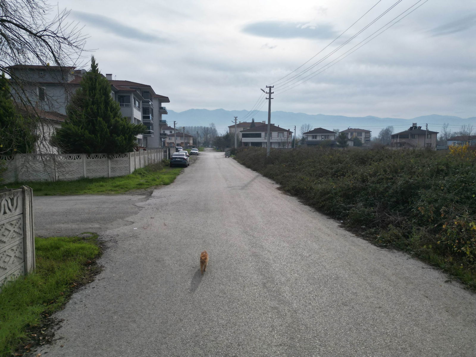 Satılık Arsa 55,000,000 TL