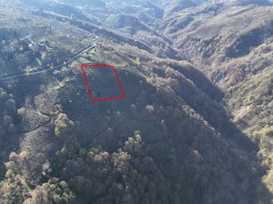 Düzce  Satılık  Arsa