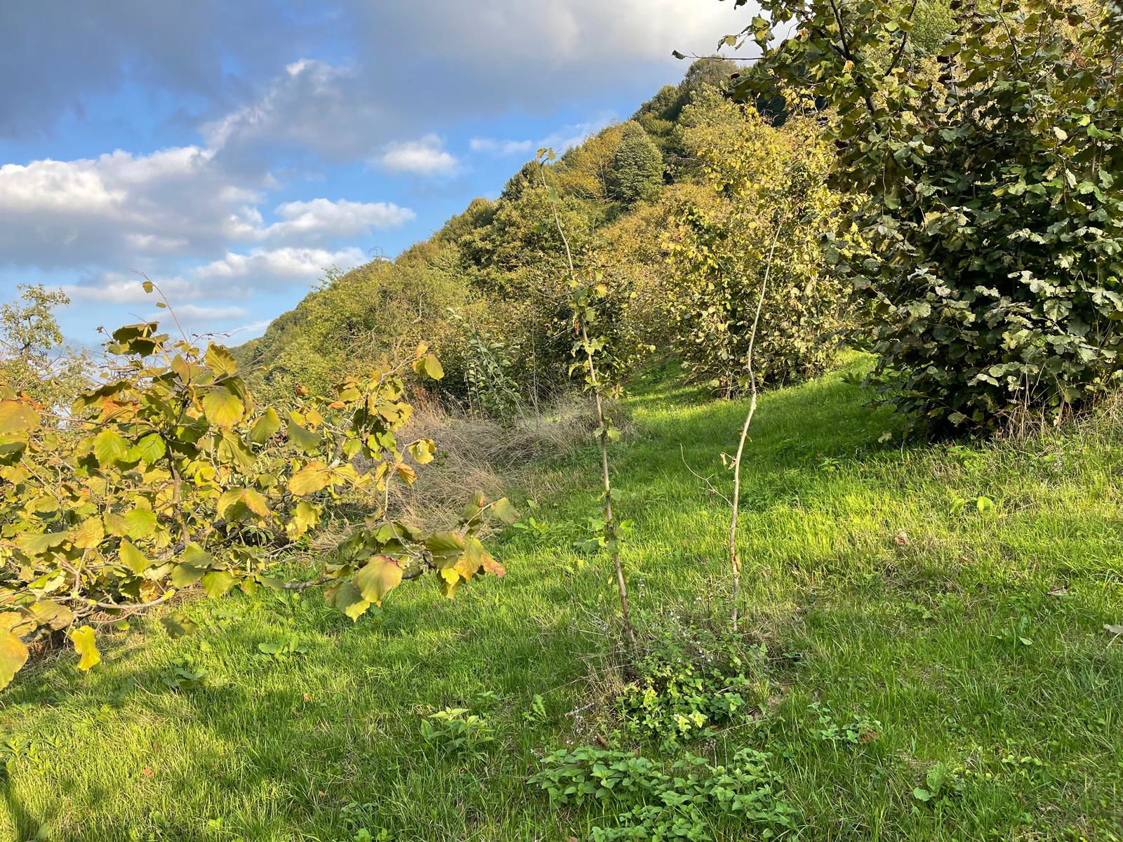 Satılık Arsa 1,575,000 TL