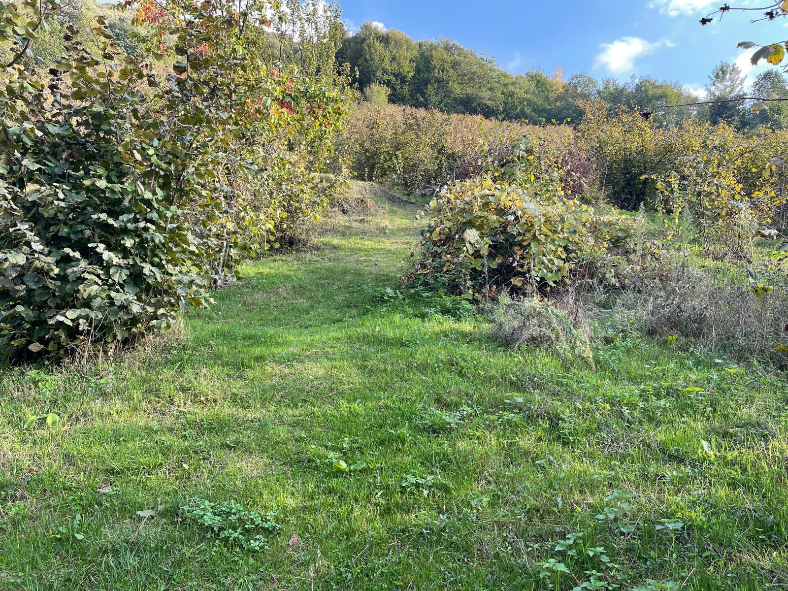 Satılık Arsa 1,575,000 TL