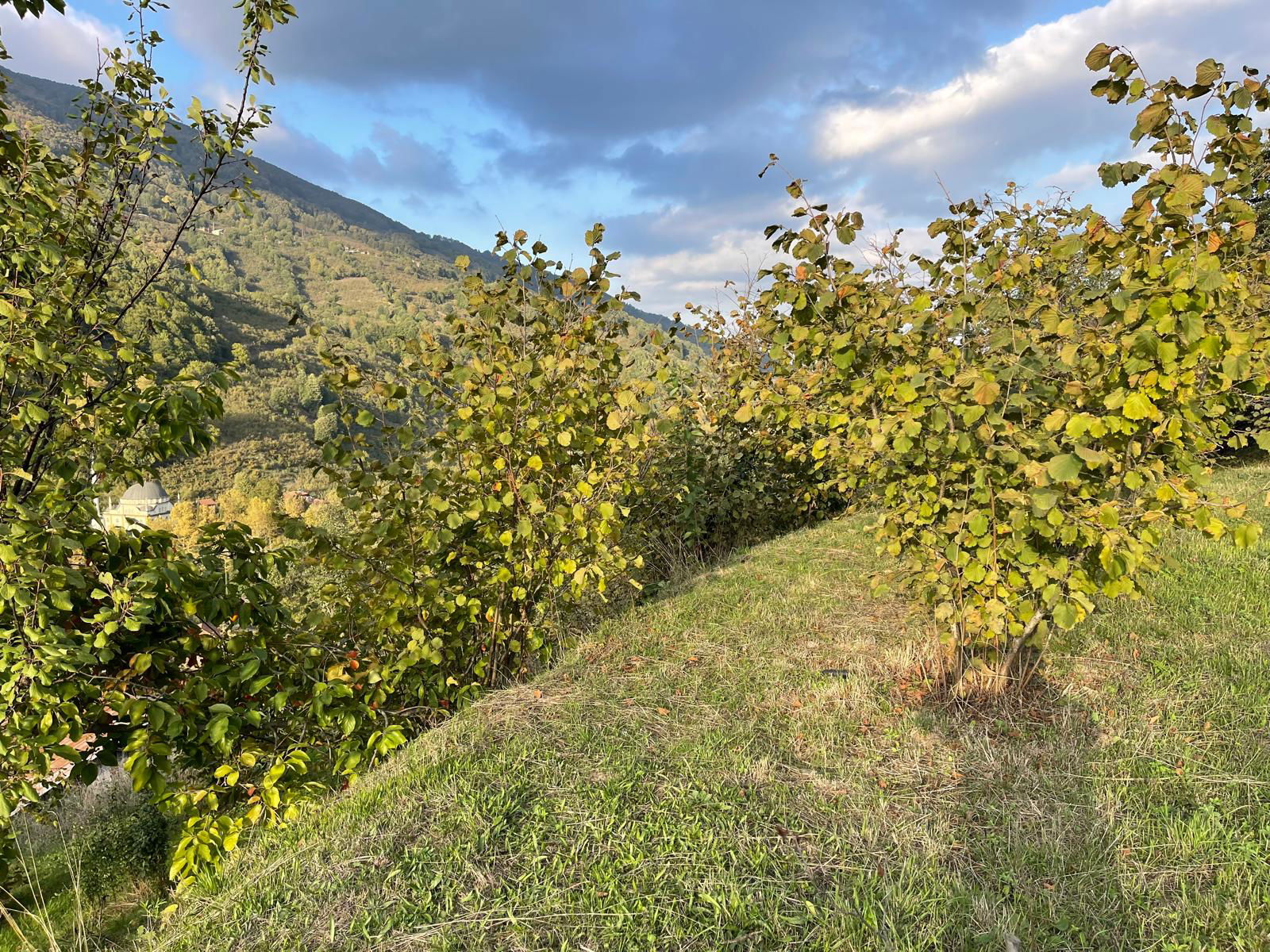 Satılık Arsa 1,575,000 TL