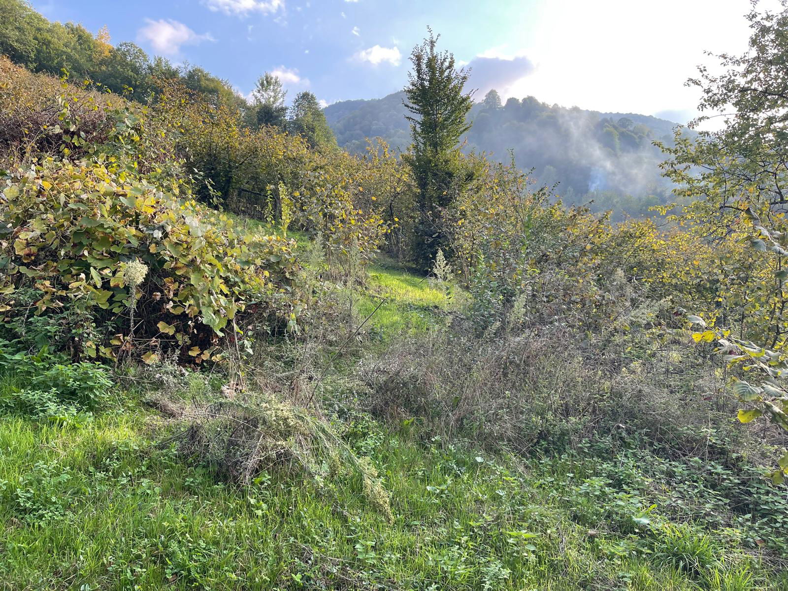 Satılık Arsa 1,575,000 TL