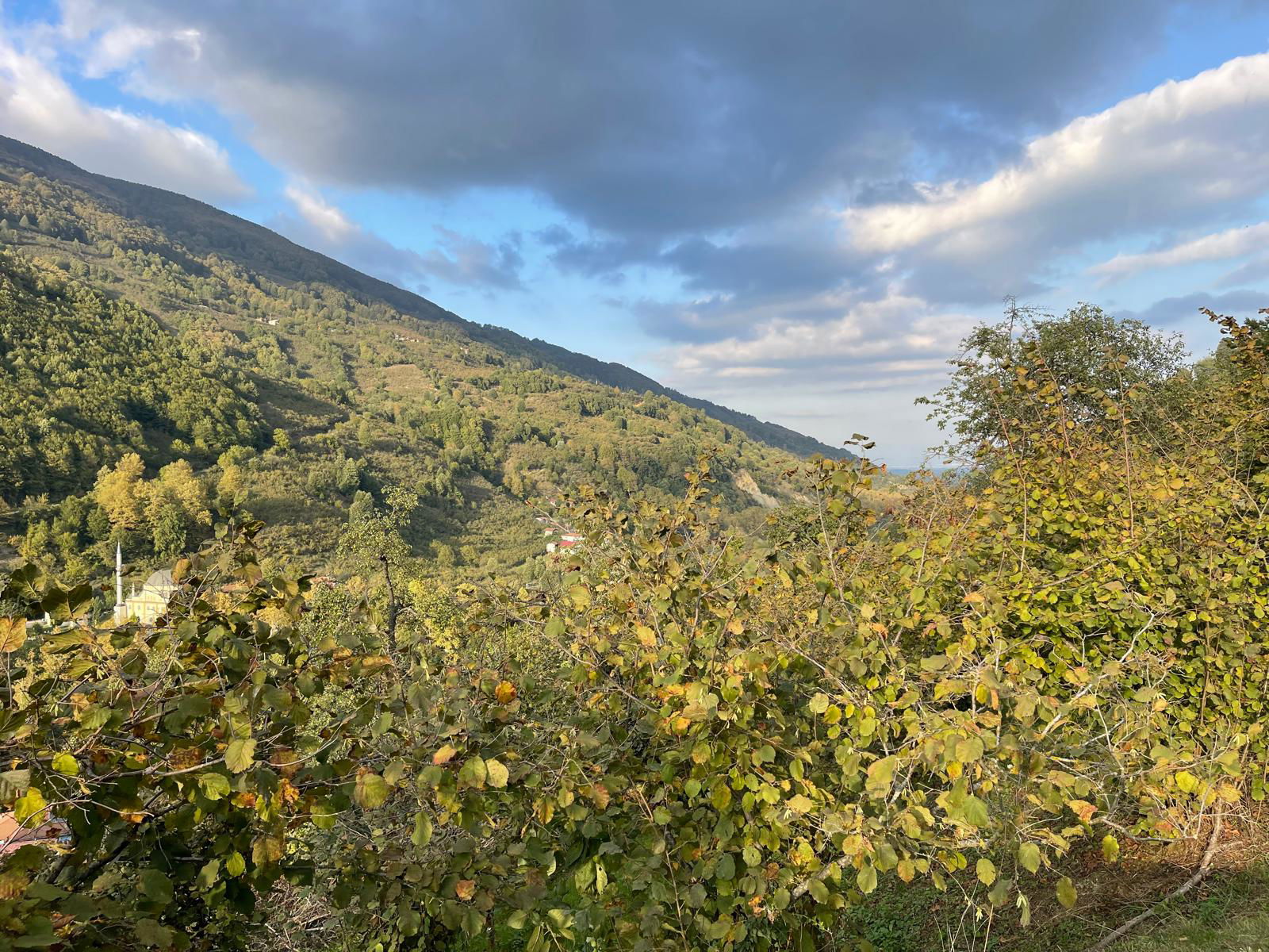 Satılık Arsa 1,575,000 TL