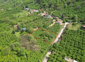 Düzce &nbsp;Satılık &nbsp;Arsa