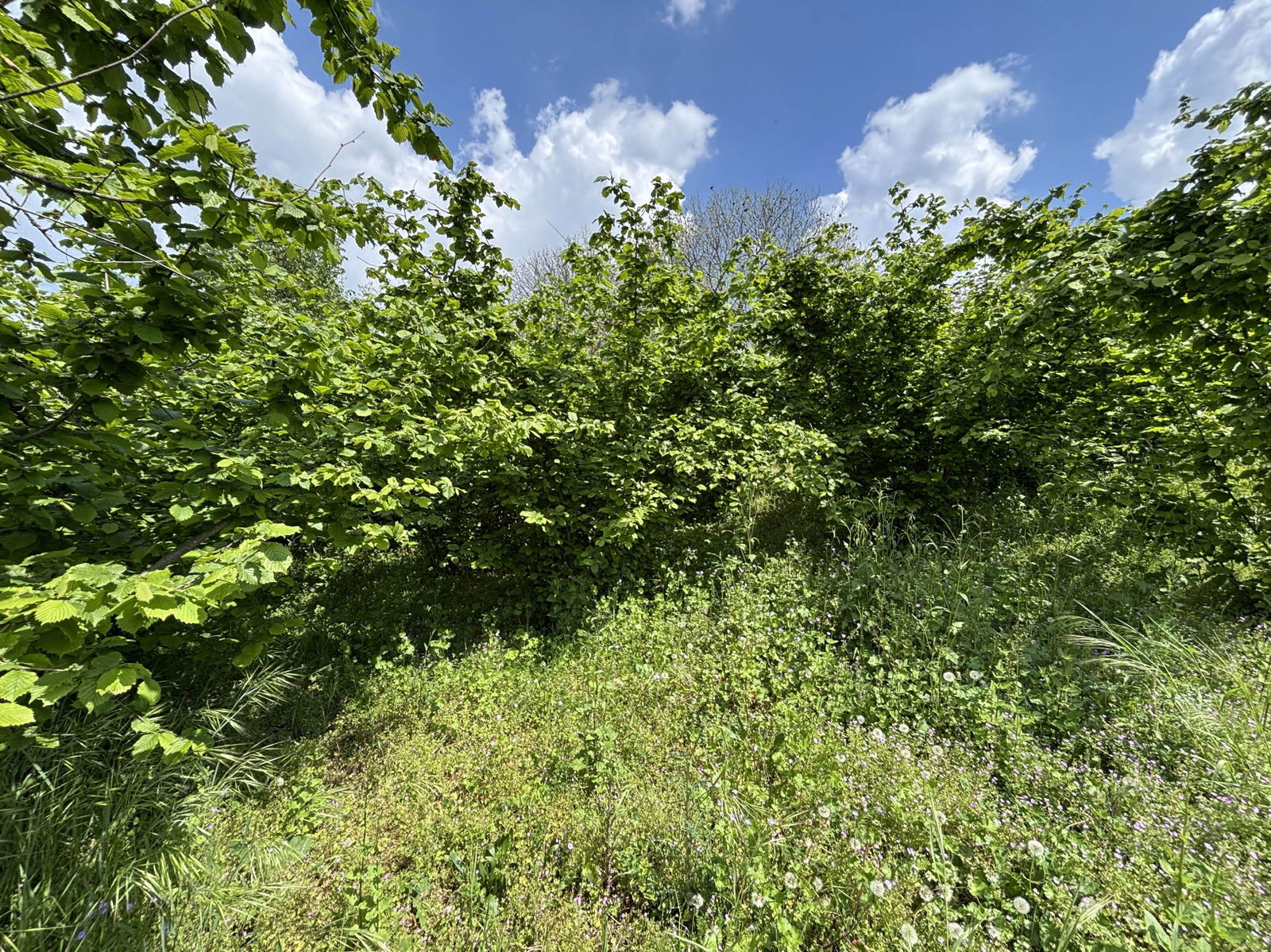 Satılık&nbsp;Arsa&nbsp;4,650,000&nbsp;TL