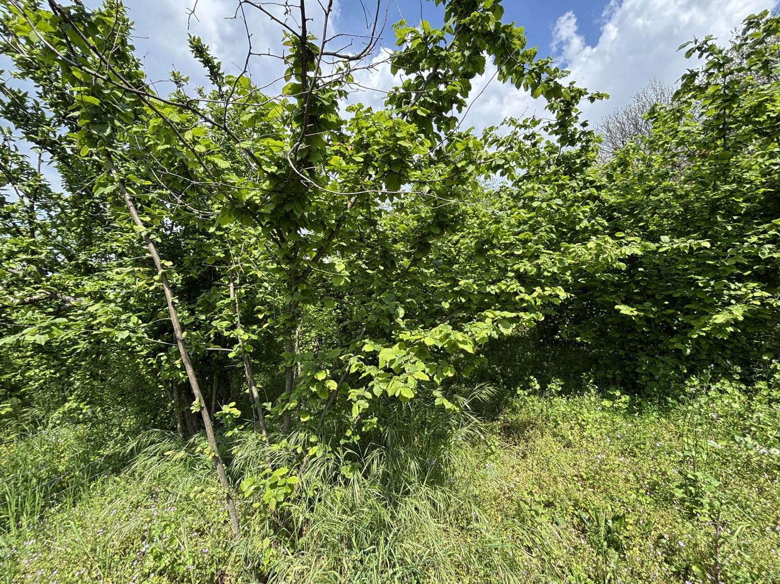 Satılık&nbsp;Arsa&nbsp;4,650,000&nbsp;TL