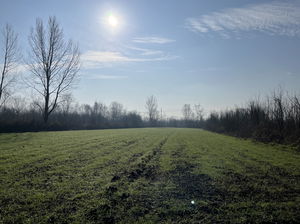 Düzce &nbsp;Satılık &nbsp;Arsa