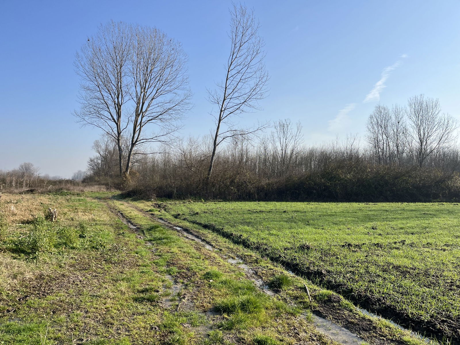 Satılık&nbsp;Arsa&nbsp;1,690,000&nbsp;TL