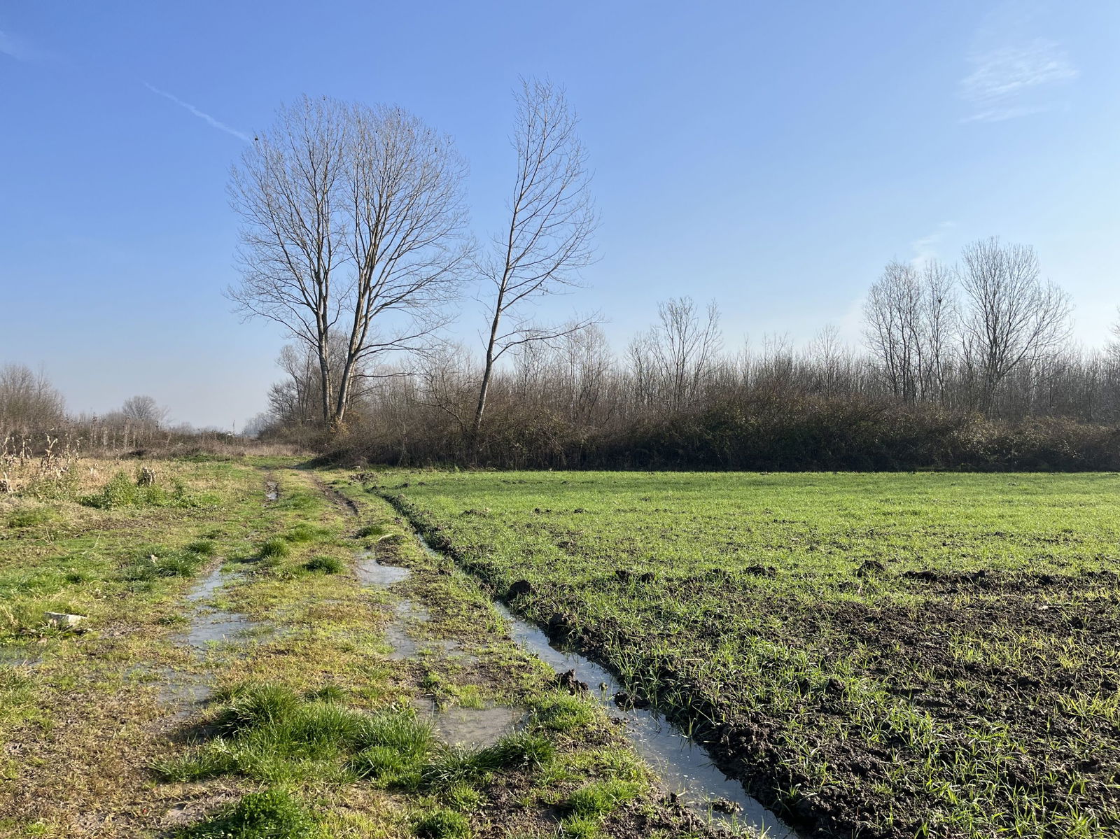 Satılık&nbsp;Arsa&nbsp;1,690,000&nbsp;TL