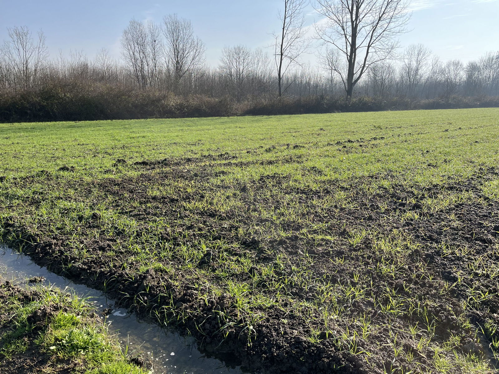 Satılık&nbsp;Arsa&nbsp;1,690,000&nbsp;TL