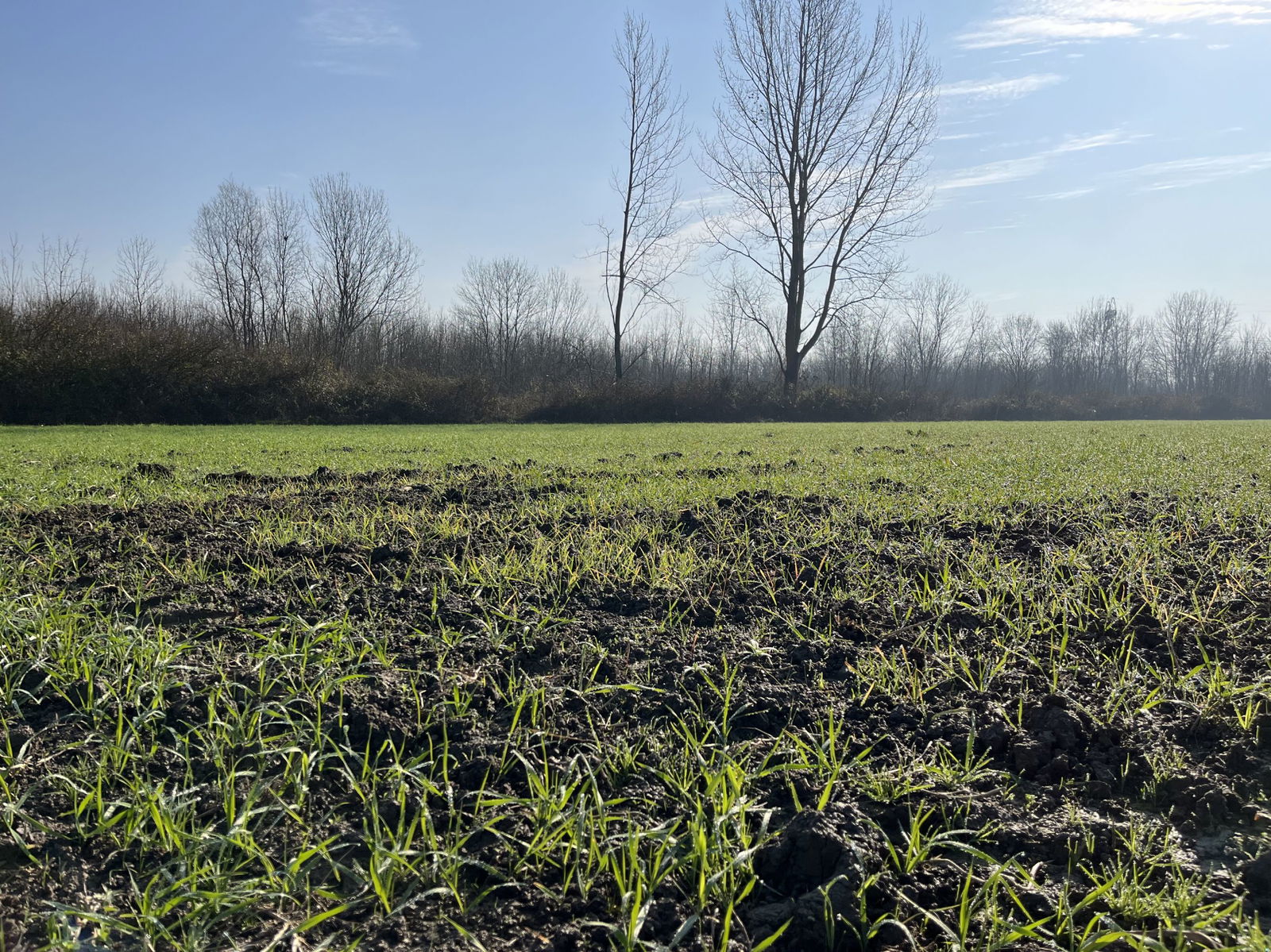 Satılık&nbsp;Arsa&nbsp;1,690,000&nbsp;TL