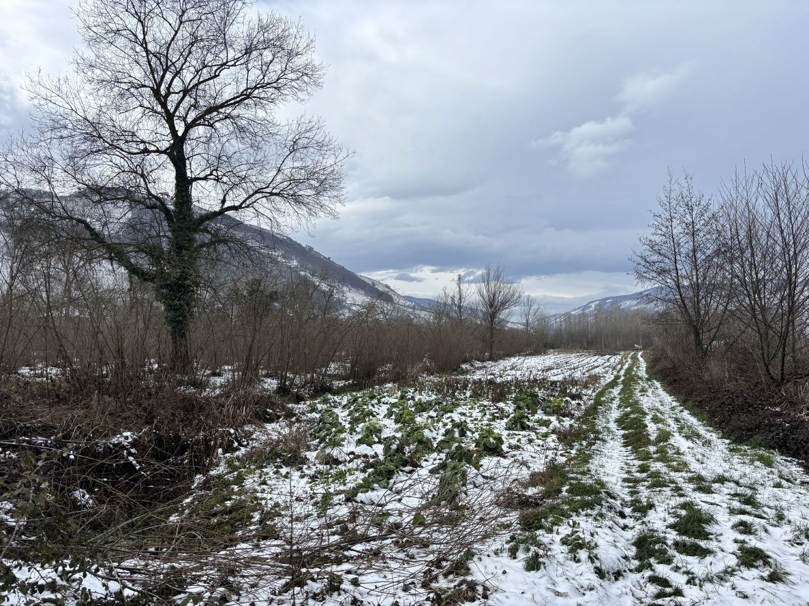 Satılık&nbsp;Arsa&nbsp;4,150,000&nbsp;TL