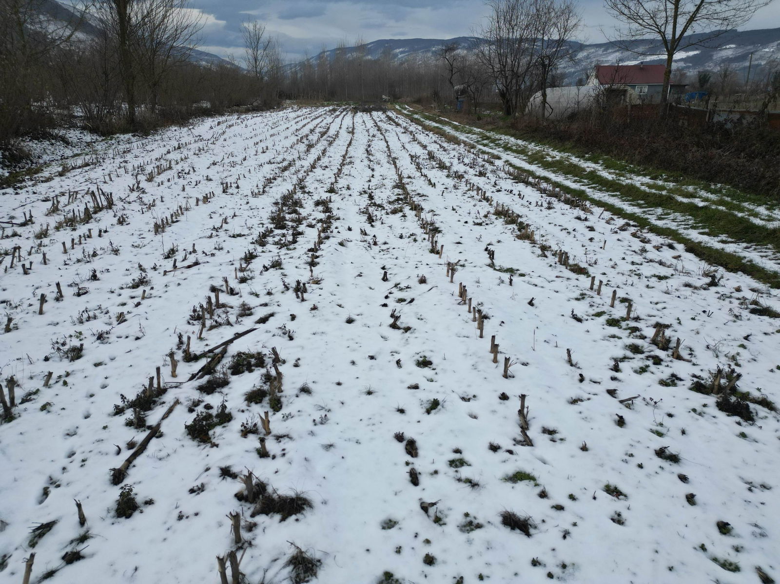 Satılık&nbsp;Arsa&nbsp;4,150,000&nbsp;TL