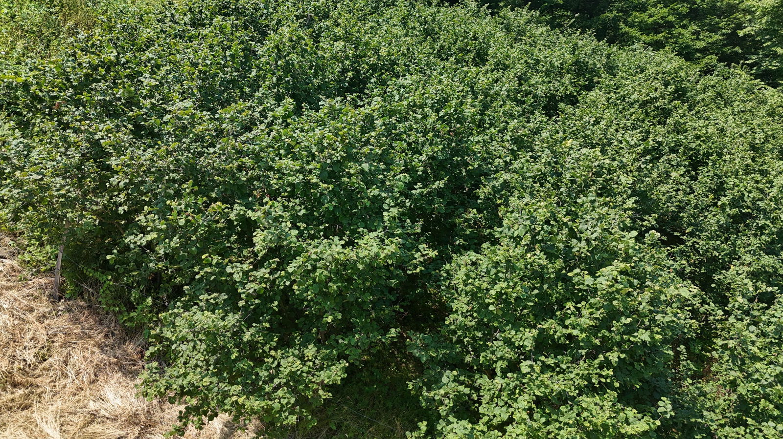 Satılık&nbsp;Arsa&nbsp;1,350,000&nbsp;TL