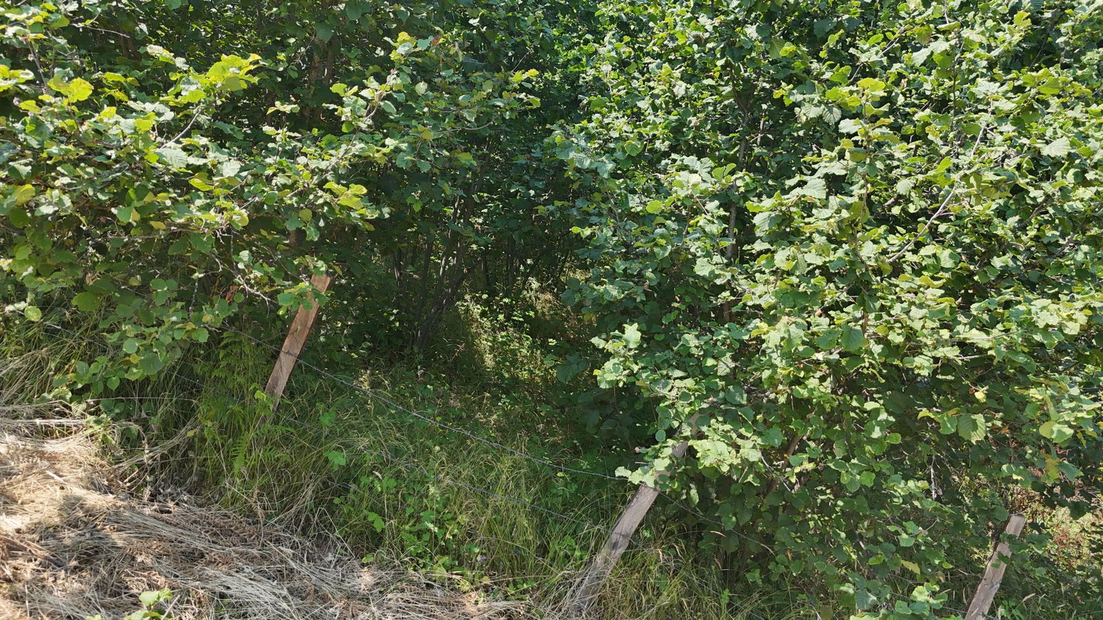 Satılık&nbsp;Arsa&nbsp;1,350,000&nbsp;TL