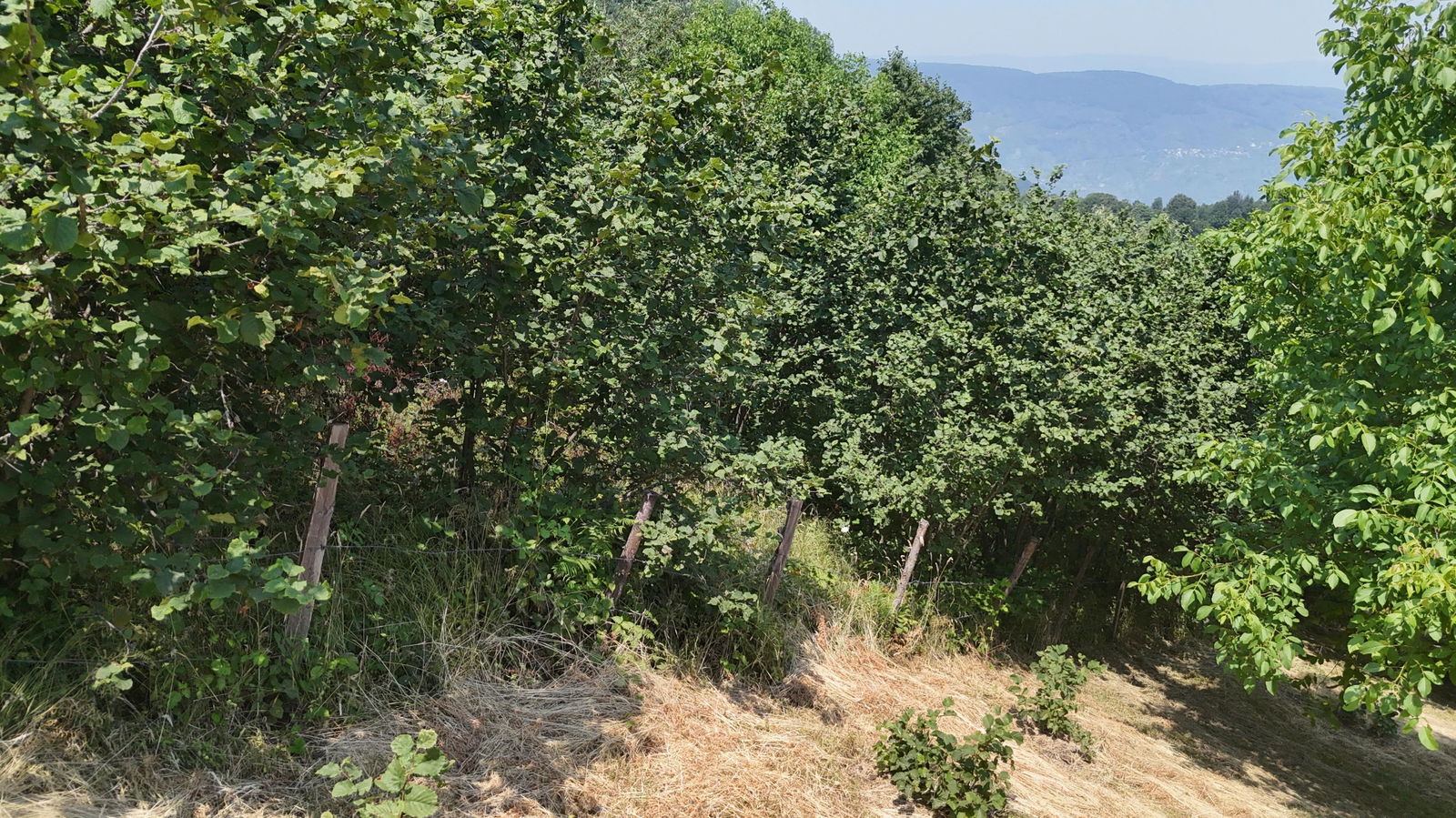 Satılık&nbsp;Arsa&nbsp;1,350,000&nbsp;TL