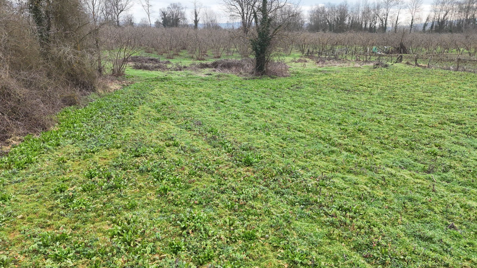 Satılık&nbsp;Arsa&nbsp;1,500,000&nbsp;TL