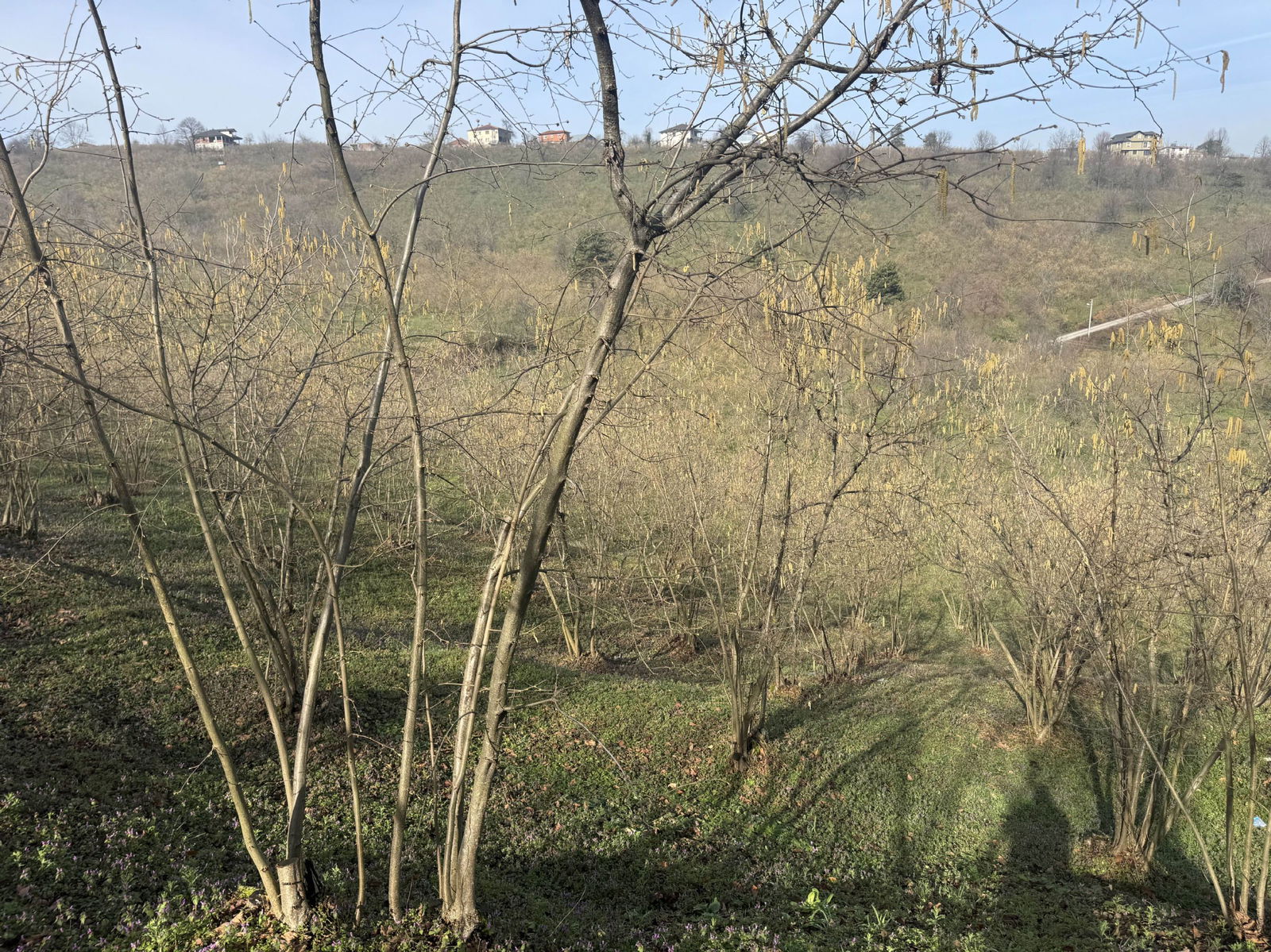 Satılık&nbsp;Arsa&nbsp;3,750,000&nbsp;TL