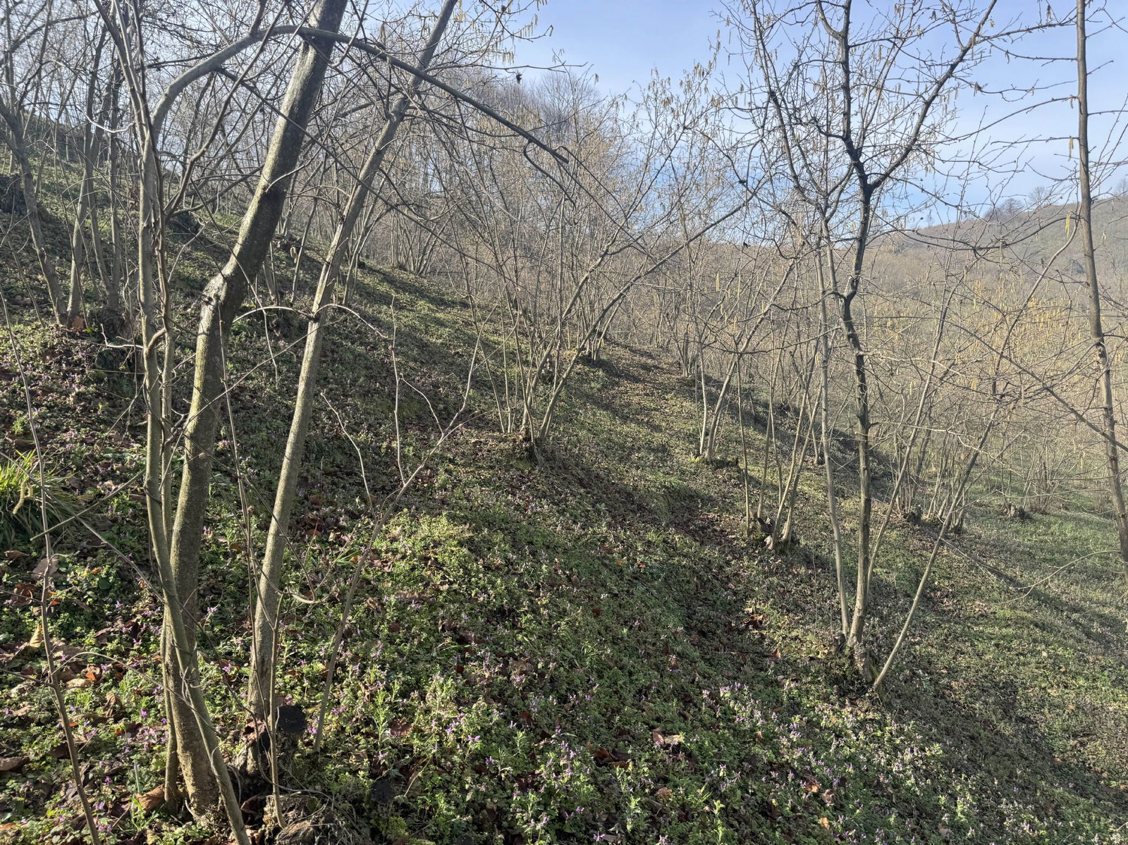 Satılık&nbsp;Arsa&nbsp;3,750,000&nbsp;TL